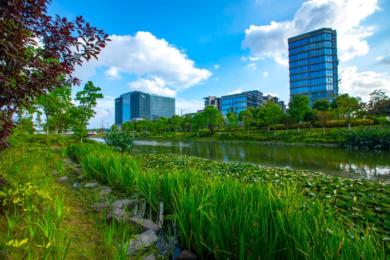 上海市青浦區(qū)西虹橋生態(tài)清潔小流域國家水土保持示范工程