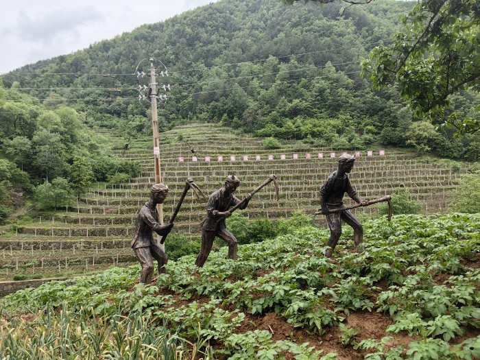 上世紀(jì)七十年代全國勞模劉西有帶領(lǐng)群眾修建的石坎梯田.jpg