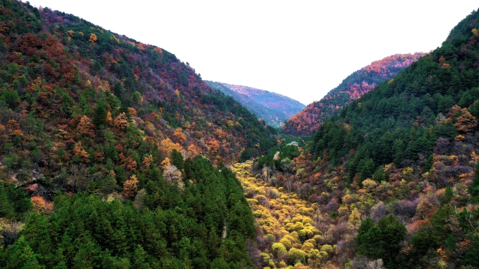 秋天森林公園.JPG