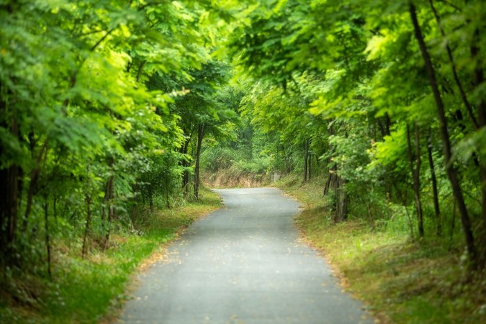 園區(qū)道路.jpg