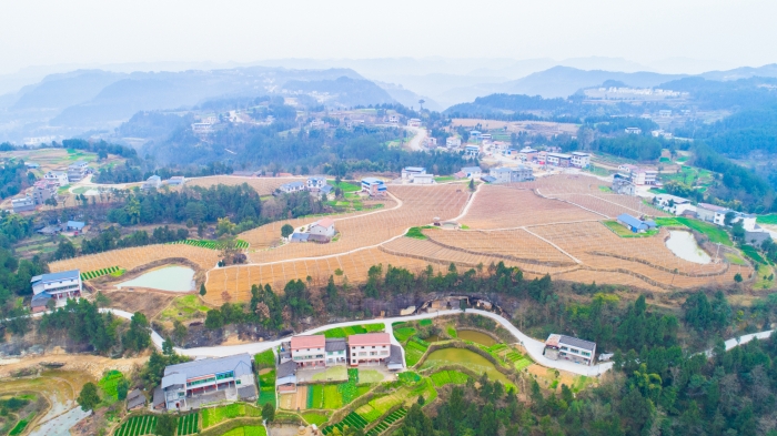 四川省恩陽(yáng)區(qū)興隆鎮(zhèn)插旗村.jpg