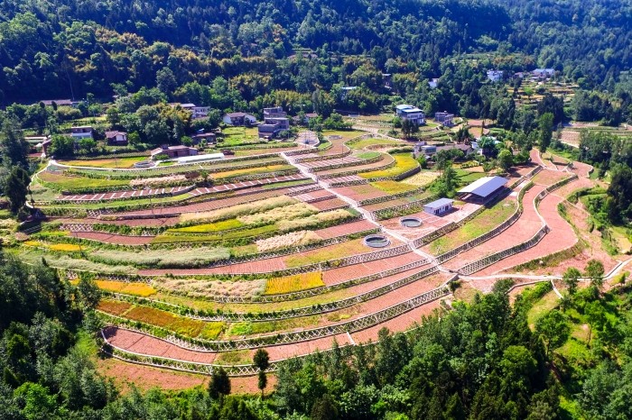四川省南江縣2015國(guó)家水土保持重點(diǎn)建設(shè)工程大河口小流域.jpg
