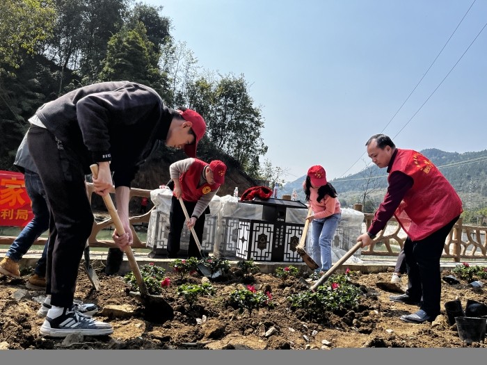 圖1：3月12日，在活動現(xiàn)場，參加活動的干部職工和志愿者在種植杜鵑花。.JPG