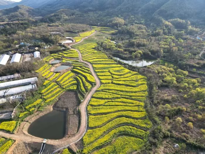 微信圖片_20250414094249_4.jpg