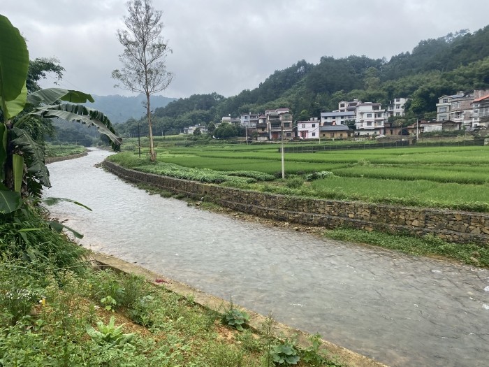 蒙山縣黃村鎮(zhèn)六埠村六埠江生態(tài)清潔型小流域水土保持工程石籠網(wǎng)生態(tài)護(hù)岸2.jpg