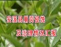 安溪縣崩崗侵蝕及治理情況介紹