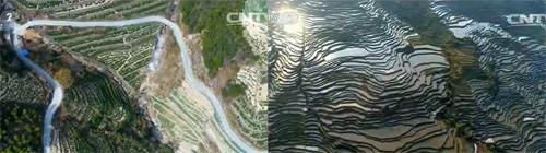 CCTV-2：安徽歙縣石頭梯田春意濃 “愚公移山”感人心；云南紅河：萬畝梯田接天碧