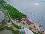央視網(wǎng)：政論專題片《將改革進(jìn)行到底》第六集----《守住綠水青山》