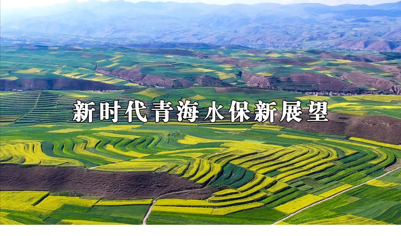 壯麗70年 奮斗新時代｜青海微視頻（三）：新時代青海水保新展望