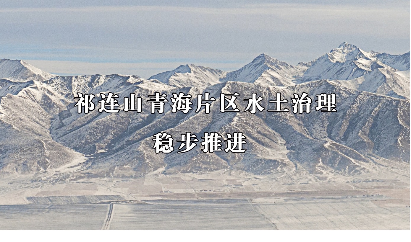 壯麗70年 奮斗新時代｜青海微視頻（四）：祁連山青海片區(qū)水土治理穩(wěn)步推進