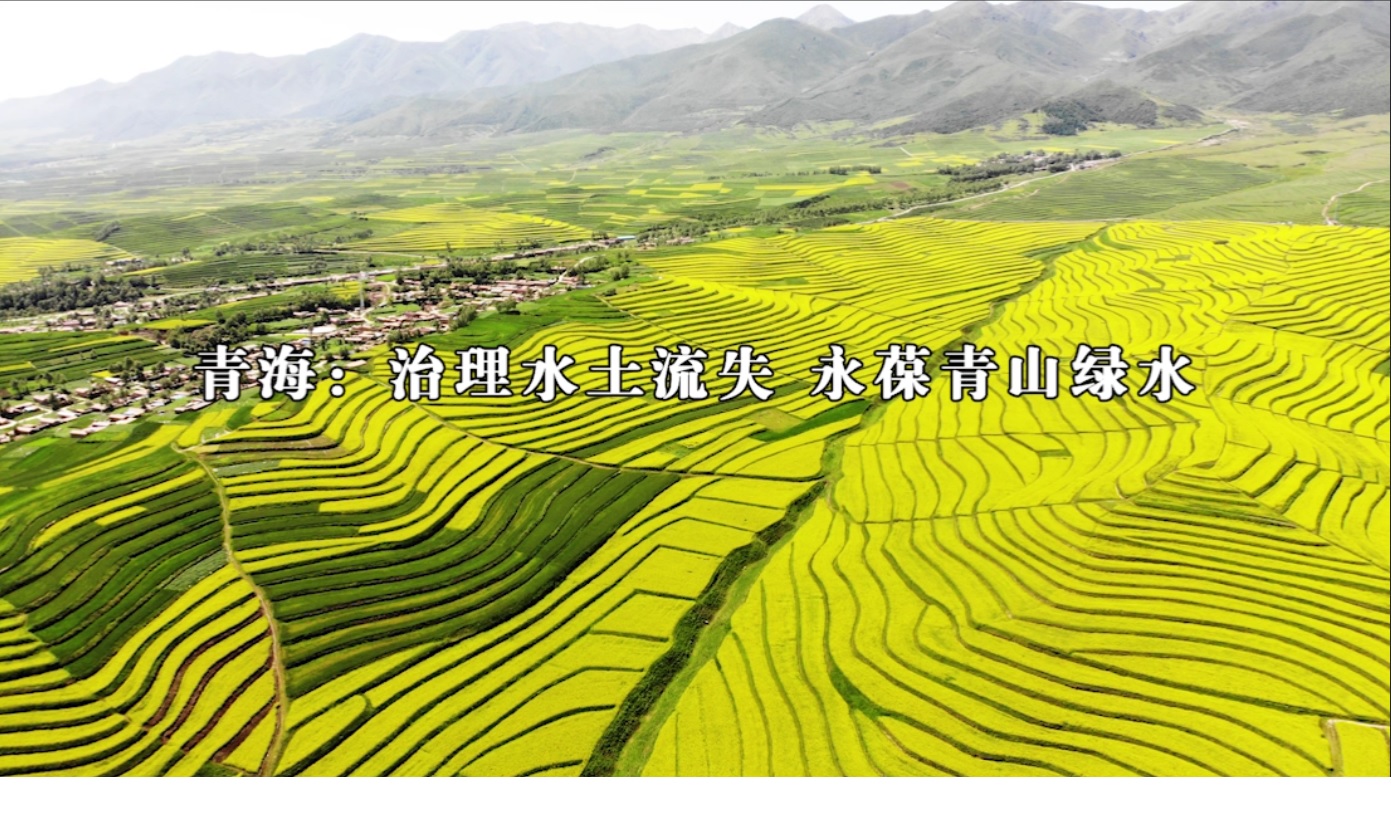 壯麗70年 奮斗新時代｜青海微視頻（六）：青海：治理水土流失 永葆青山綠水